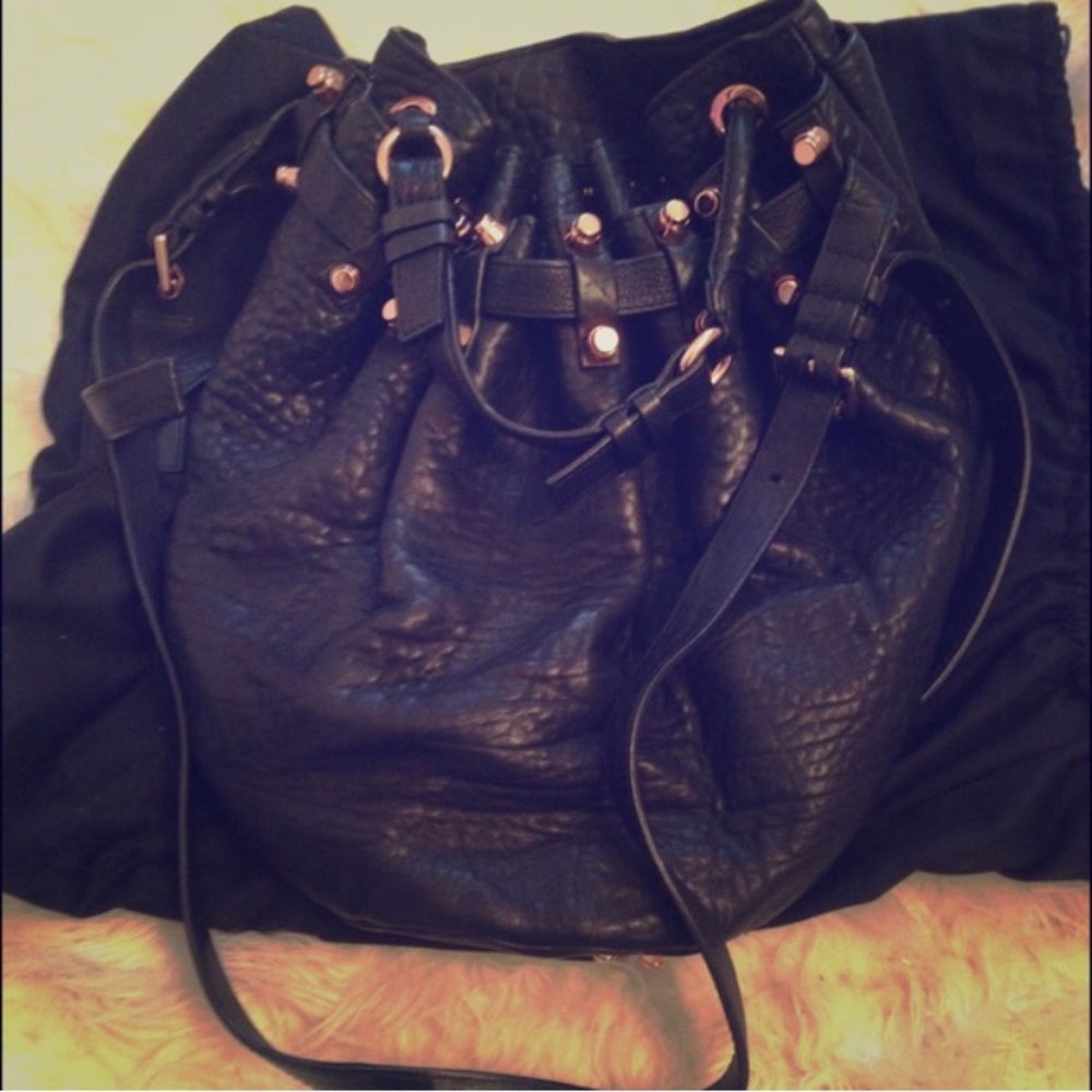 NWT Alexander Wang bucket bag. Fashion.